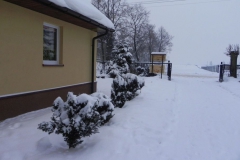 Galeria zdjęć Sochowej Zagrody - podwórko i przyroda (30)