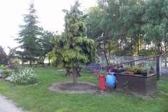 Galeria zdjęć Sochowej Zagrody - podwórko i przyroda (109)