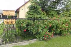 Galeria zdjęć Sochowej Zagrody - podwórko i przyroda (96)