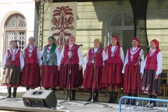 Mińsk Maz. - festiwal (14)