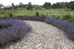 Kamionka - wioski tematyczne (104)