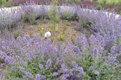 Kamionka - wioski tematyczne (111)