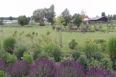 Kamionka - wioski tematyczne (115)