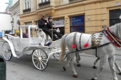 Kraków - wioski tematyczne (100)