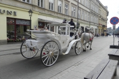 Kraków - wioski tematyczne (101)