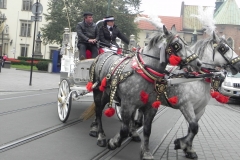 Kraków - wioski tematyczne (68)