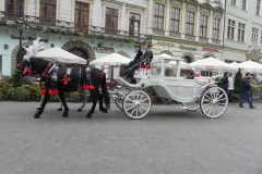 Kraków - wioski tematyczne (73)