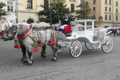 Kraków - wioski tematyczne (85)