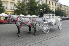 Kraków - wioski tematyczne (87)