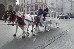 Kraków - wioski tematyczne (94)