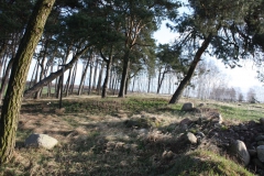 2019-03-10 Annów - cm ewang (16)