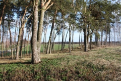 2019-03-10 Annów - cm ewang (17)