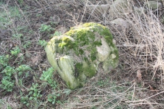 2019-03-10 Annów - cm ewang (21)