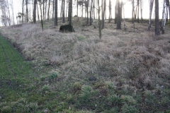 2019-03-10 Annów - cm ewang (22)