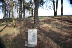 2019-03-10 Annów - cm ewang (25)