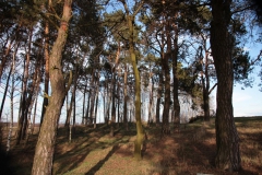 2019-03-10 Annów - cm ewang (26)