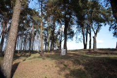 2019-03-10 Annów - cm ewang (28)