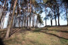 2019-03-10 Annów - cm ewang (29)