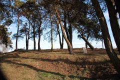 2019-03-10 Annów - cm ewang (30)