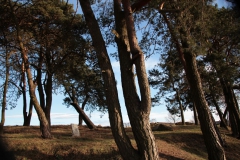 2019-03-10 Annów - cm ewang (31)