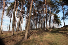 2019-03-10 Annów - cm ewang (33)