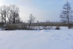 Galeria zdjęć Sochowej Zagrody - podwórko i przyroda (35)