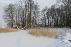 Galeria zdjęć Sochowej Zagrody - podwórko i przyroda (38)