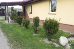 Galeria zdjęć Sochowej Zagrody - podwórko i przyroda (59)