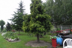 Galeria zdjęć Sochowej Zagrody - podwórko i przyroda (103)
