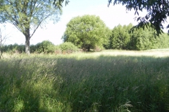 Galeria zdjęć Sochowej Zagrody - podwórko i przyroda (174)