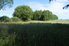 Galeria zdjęć Sochowej Zagrody - podwórko i przyroda (175)
