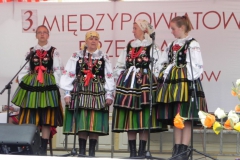 2015-05-23 Działoszyn - zdjęcia (39)