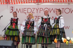 2015-05-23 Działoszyn - zdjęcia (42)