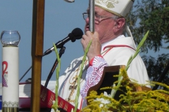 2015-08-31 Boguszyce - dożynki (45)