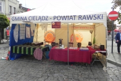 2015-09-20 Skierniewice - święto kwiatów (17)