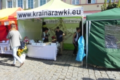 2015-09-20 Skierniewice - święto kwiatów (5)