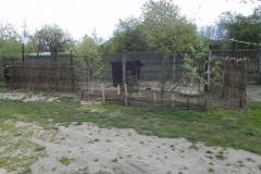 Galeria zdjęć Sochowej Zagrody - podwórko i przyroda (42)