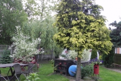 Galeria zdjęć Sochowej Zagrody - podwórko i przyroda (104)