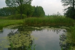 Galeria zdjęć Sochowej Zagrody - podwórko i przyroda (109)