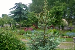 Galeria zdjęć Sochowej Zagrody - podwórko i przyroda (125)