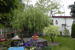 Galeria zdjęć Sochowej Zagrody - podwórko i przyroda (90)