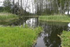 Galeria zdjęć Sochowej Zagrody - podwórko i przyroda (91)