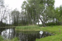 Galeria zdjęć Sochowej Zagrody - podwórko i przyroda (92)