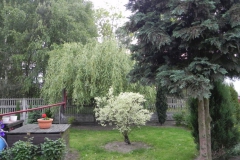 Galeria zdjęć Sochowej Zagrody - podwórko i przyroda (95)