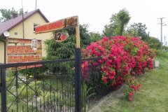 Galeria zdjęć Sochowej Zagrody - podwórko i przyroda (183)