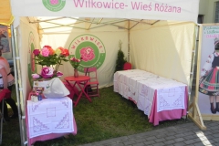 2017-05-14 Wilkowice - Majówka (16)