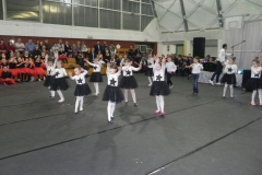 2018-02-10 Rzeczyca (73)