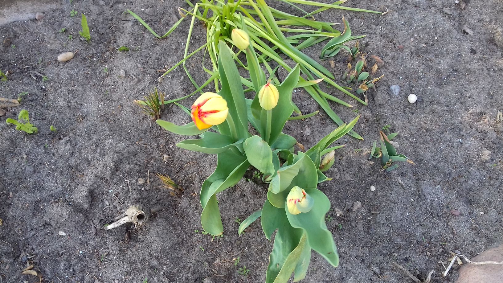 2018-04-15 Wiosna w Sochowej Zagrodzie (36)