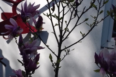 2018-04-15 Wiosna w Sochowej Zagrodzie (30)