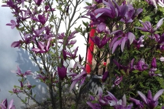 2018-04-15 Wiosna w Sochowej Zagrodzie (31)